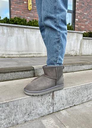 Жіночі замшеві зимові угги чоботи ugg classic mini grey