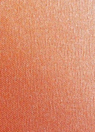 Термо рулонные шторы солнцезащитные тканевые роллеты  мини беста люминис красный