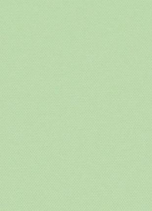 Термо роллеты мини беста  рулонные солнцезащитные шторы блэкаут гладкий  мадагаскар светло-зеленый
