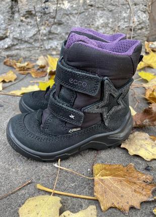 Зимние ботинки ecco gore-tex 26 р