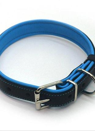 Шкіряний нашийник (подвійний) ширина 14 мм, довжина 23-28 см, чорний із синім