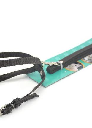 Шлейка + поводок для малых собак и кошек, капроновая, черная