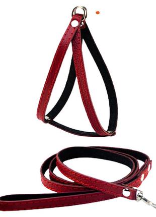 Шлейка `човник` + повідець шкіра строчені з підкладом червона1 фото