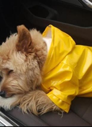 Дощовик для собак (розмір s) жовтий8 фото
