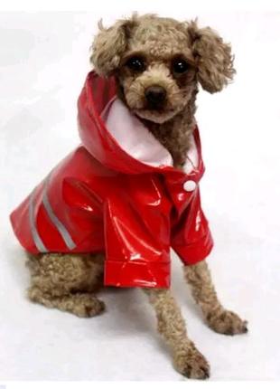 Дождевик для собак (размер s) красный4 фото