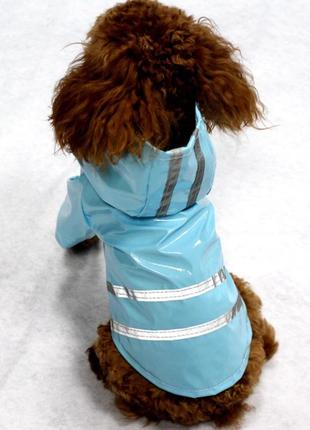 Дощовик для собак (розмір s) блакитний2 фото