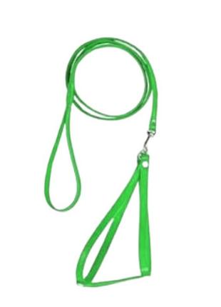 Шлейка + повідець `човник` капронова 30х30-130 см (зелений)