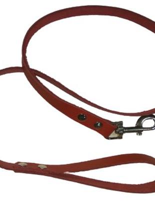 Повідець ремінна шкіра, нестрочений, довжина 12м, ширина 20 мм (червоний)