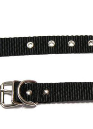 Нашийник капроновий (одинарний) ширина 30мм, довжина 70см (чорний)