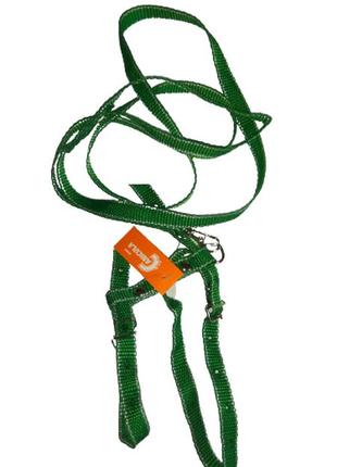 Капронова шлейка з повідцем зелена (140см*19см)