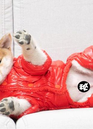 Теплый зимний комбинезон для собак на флисе размер m красный4 фото