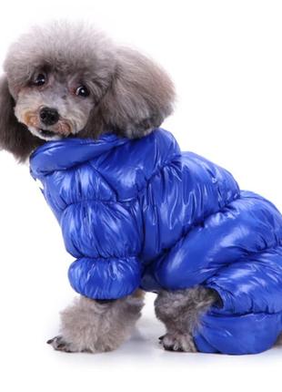 Теплый зимний комбинезон для собак на флисе, размер l,  синий2 фото