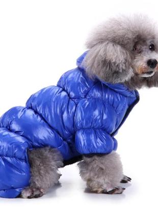 Теплый зимний комбинезон для собак на флисе, размер xs, синий3 фото