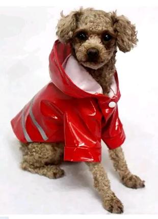 Дождевик для собак (размер m) красный2 фото