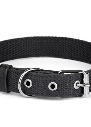 Брезентовий ошийник (одинарний) ширина 30м. довжина 60см. чорний