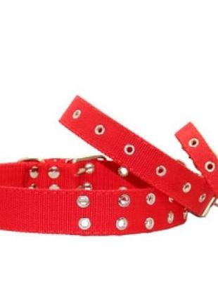 Нашийник для собак брезентовий (одинарний), ширина 40мм довжина 43-54 см червоний