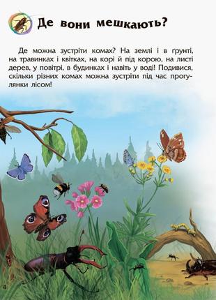 Детская энциклопедия про насекомых 614014 для дошкольников5 фото