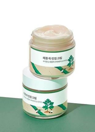 Успокаивающий крем с морским полыном round lab mugwort calming cream 80 ml