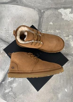 👟 угги чоловічі ugg neumel ginger / наложка bs👟