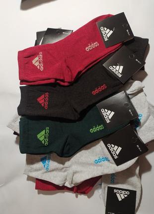Шкарпетки жіночі adidas хлопок