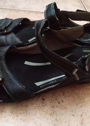 Сандалии ecco (оригинал)clarks geox rieker braska hogl lloyd skechers teva salewa columbia tnf hh 3