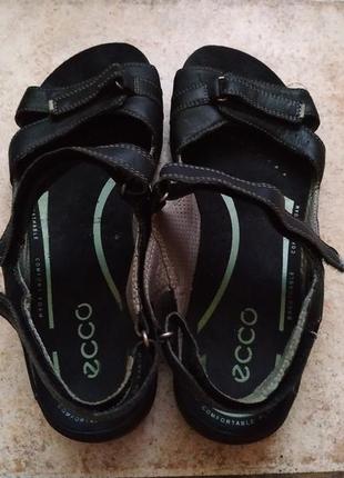 Сандалии ecco (оригинал)clarks geox rieker braska hogl lloyd skechers teva salewa columbia tnf hh 2