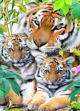 Алмазная вышивка. картина на подрамнике "семь тигров",  30х40см, квадратные стразы