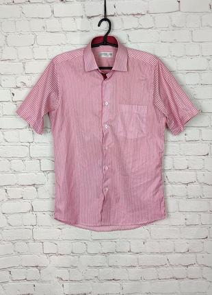 Мужская классическая стильная рубашка в полоску розовая ferrero gizzi super wear