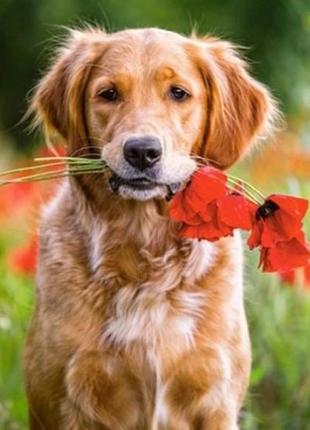 Алмазная вышивка. картина на подрамнике "букет для тебя",  30х40см, квадратные стразы