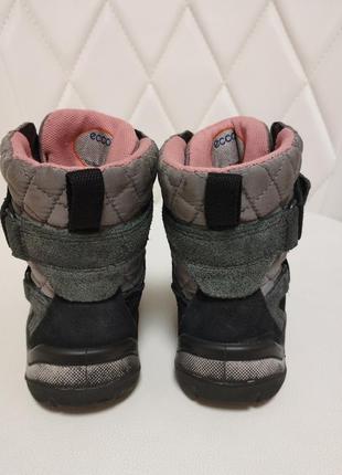 Зимові черевики ecco з мембраною gore-tex3 фото