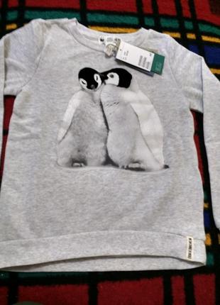 Свитшот с начесом на 4-6 3