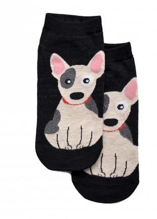 Короткие носки bull terrier (36-41)