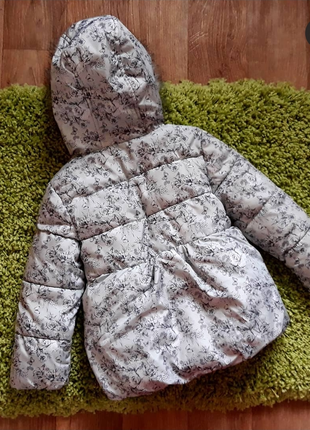 Демисезонная куртка young dimension 8