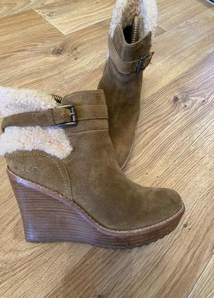 Полусапожки ботинки сапоги ugg оригинал 39(25 см)1 фото