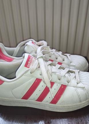 Кросівки adidas superstar