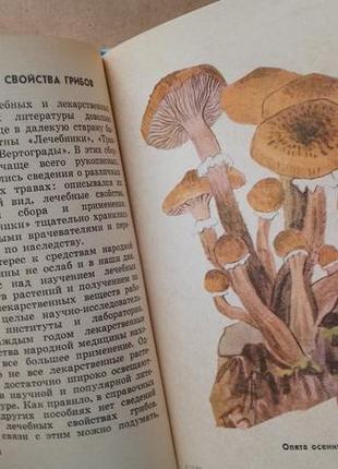 Книга "гриби наших лісів" (російською мовою)3 фото