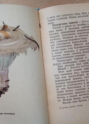 Книга "гриби наших лісів" (російською мовою)4 фото