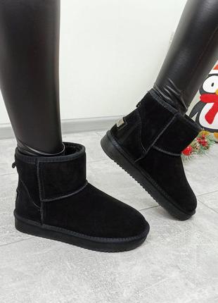 Угги itts ряд натуральная замша, угги низкие, замша