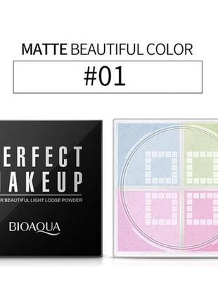 Палетка для корекції особи bioaqua perfect makeup water beautiful light loose powder #01 (12г)3 фото
