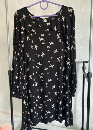Сукня чорна з пташками m&co