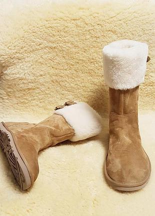 Сапоги  ugg   australia2 фото