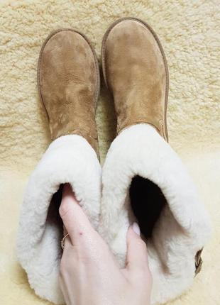 Сапоги  ugg   australia