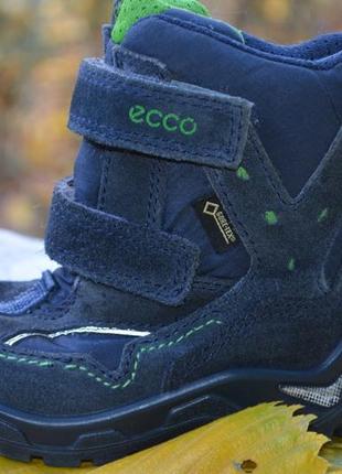 Зимние термоботинки ecco с мембраной gore-tex р. 22 по стельке 14 см1 фото