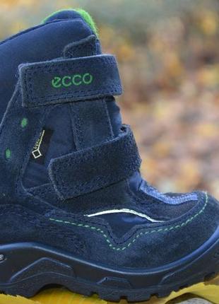 Зимние термоботинки ecco с мембраной gore-tex р. 22 по стельке 14 см2 фото