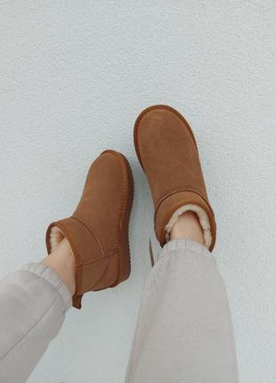 Жіночі ugg  brown / smb