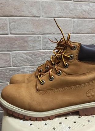 Демисезонные ботинки из нубуковой кожи timberland