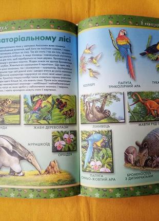 Велика книжка про тварин. словник у малюнках6 фото