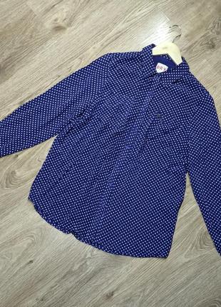 Сорочка легка, прямого крою, бренд superdry