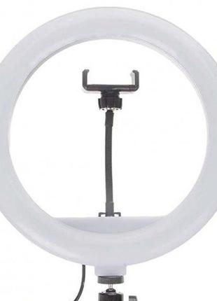 Кольцевая led лампа светодиодная ring fill light jy-300 usb диамером 30см с пультом ду