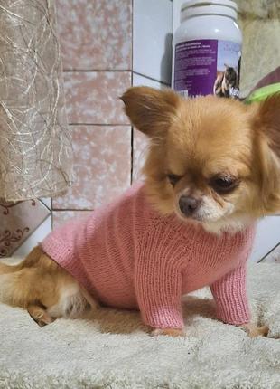 Светр на маленьку собачку